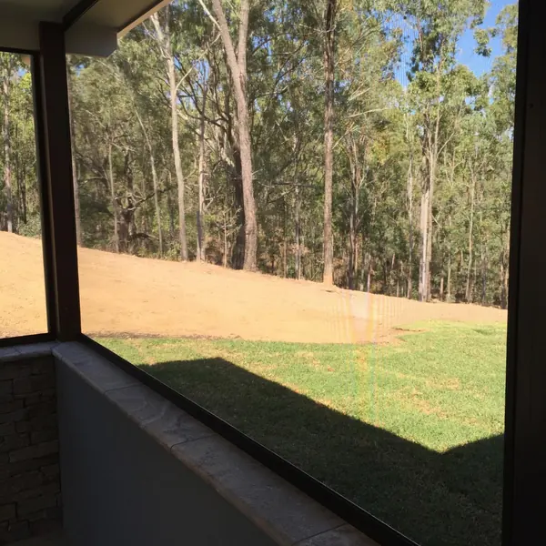 Looking through a screen window